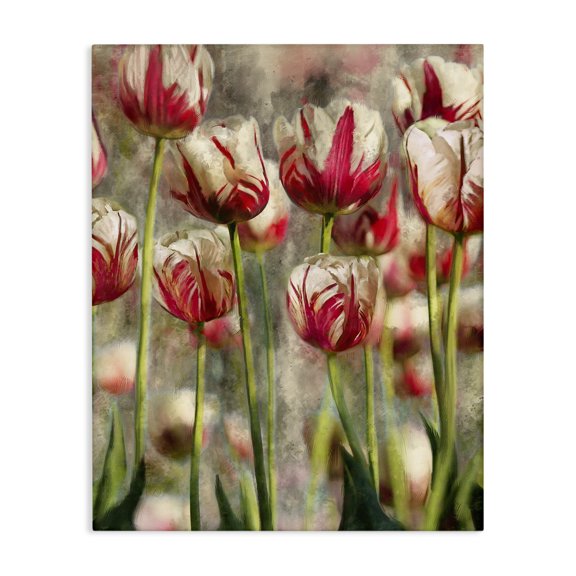 Stupell Industries Cottage Pink and White Tulips Canvas Art, 16 x 20, by Ziwei Li