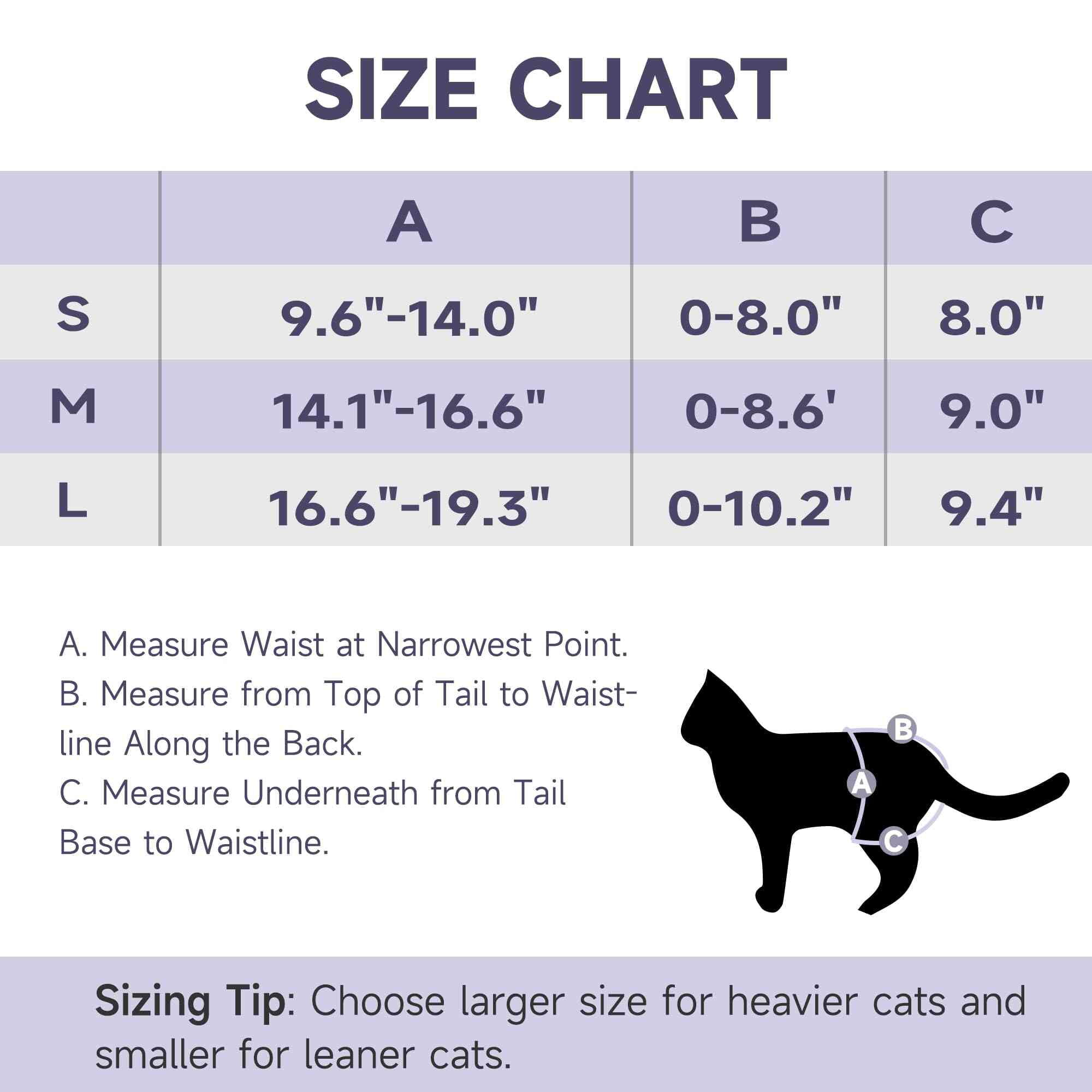Paw Legend Cat Diapers for Female Cats Diaper for Male Cat Spraying Washable Reusable Kitten Diapers for Cats Incontinence Pet Diapers (3 Pack, Large)