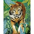 thumbnail image 2 of Medley, Elizabeth 20x24 Gold Ornate Wood Framed with Double Matting Museum Art Print Titled - Tiger In The Jungle II, 2 of 4