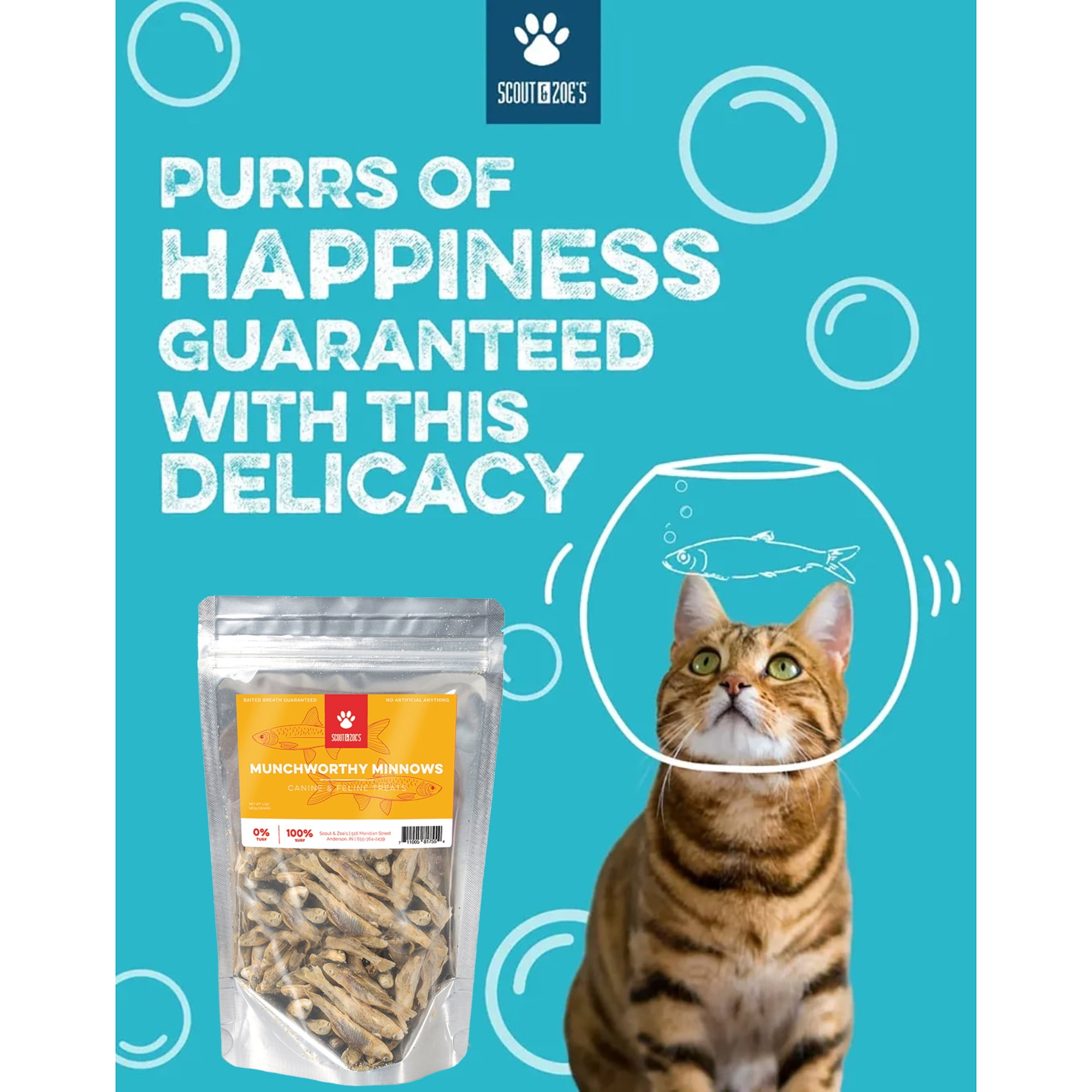Scout & Zoe's: Munchworthy Minnows - 1oz Dog & Cat Treats, Freeze-Dried, Single Ingredient, Pet Fish Chews, Crunchy Bites, Omega-3 Rich, USA Sourced
