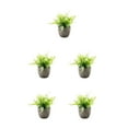 thumbnail image 1 of Decodeary Green Eco-friendly Artificial Money Tree In Pot Long-lasting Durability Realistic Appearance white rose 5Set, 1 of 6