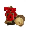 thumbnail image 2 of Red Lion Amaryllis Bulb in Burlap Gift Bag Amaryllis Bulb!! Easy to Grow Bulbs--Includes Growing Medium--Great Holiday Gift!!!, 2 of 4