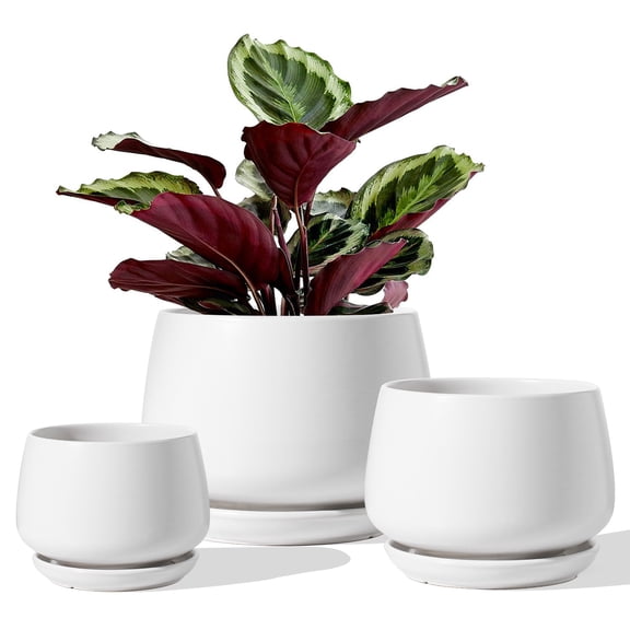 BEMAY Set of 3 Ceramic Plant Pots, 4.1" 5.1" 6.5" Indoor Planters with Drainage Hole and Saucer, White Round Flower Pots (Plants Not Included)