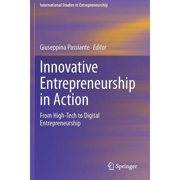 International Studies in Entrepreneurshi Innovative Entrepreneurship in Action: From High-Tech to Digital Entrepreneurship, Book 45, (Paperback)