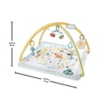 thumbnail image 2 of Gimnasio para Bebés Fisher Price Baby Primeros Sentidos Multicolor, 2 of 4
