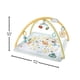 thumbnail image 2 of Gimnasio para Bebés Fisher Price Baby Primeros Sentidos Multicolor, 2 of 4