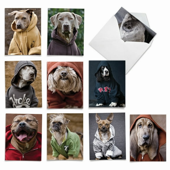10 All Occasion Blank Note Cards Assorted (4 x 5.12 Inch) - DOGS IN DA HOOD