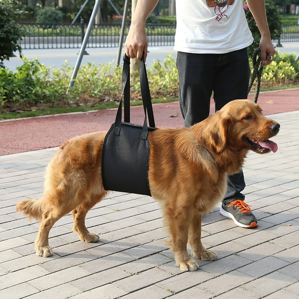 L arnés de apoyo para perros confuave, fácil de usar y almacenar, para perros con movilidad limitada, artritis o problema ortopédicos, desñados para ayuda a los perros a