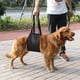 thumbnail image 3 of Soporte para perros, elevación para perros negra y arnés de soporte para perros con soporte para elevación para perros, calidad superior, 3 of 9