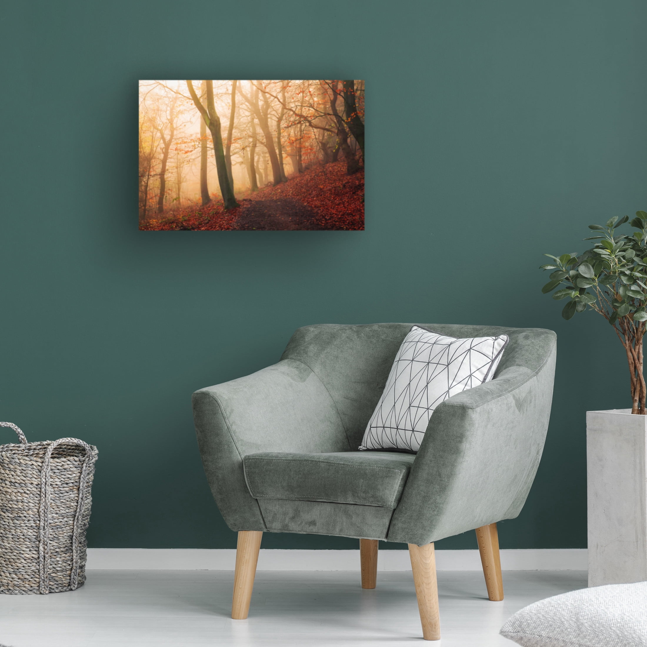 Trademark Fine Art Leif Londal Wake Up Forest. Canvas Wall Art
