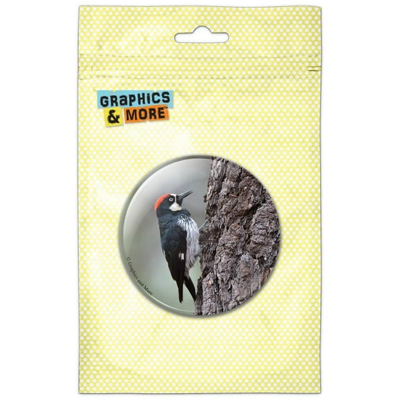 Woodpecker in Tree Pinback Button Pin Badge