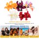 thumbnail image 3 of TABLETREANDS 5Ud Horquillas De Artificiales Estilo Hawaiano Para Accesorios De, 3 of 8