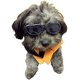 thumbnail image 4 of ZHAOCHENG Gafas para perros, gafas de sol para mascotas, gafas plegables para perros, gafas de sol con protección UV (negro), 4 of 5