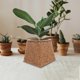 thumbnail image 3 of Light Brown Rattan Flower Basket Hand Woven Basket for Storage Use, 3 of 5