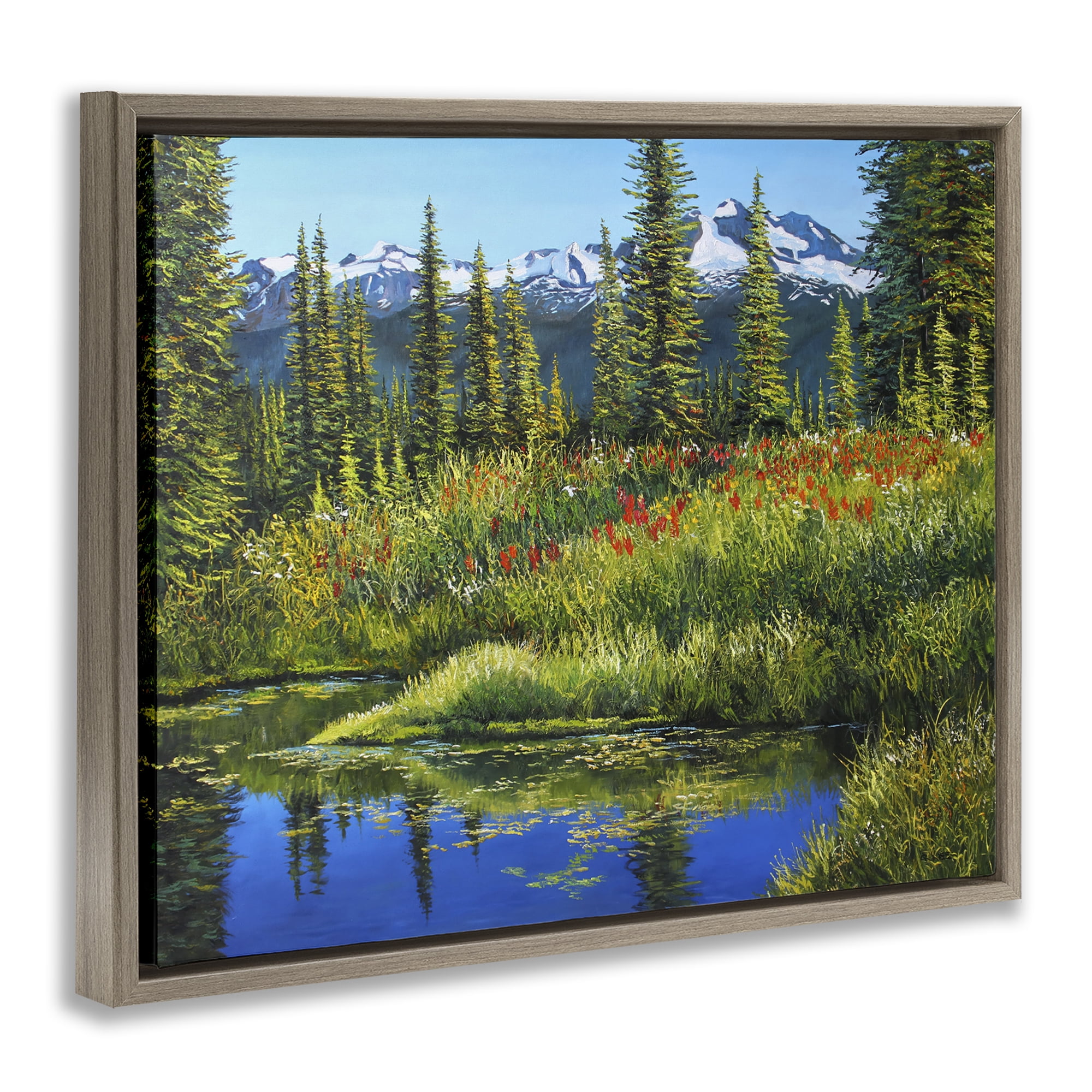 Stupell Industries High Country Summer Landscape & Nature Painting Brown Floater Framed Canvas Art Print Wall Art, 21 x 17