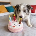 thumbnail image 4 of Squeaky Dog Toy Birthday Cake Plush Toy, Interactive Chew Toy for Dogs, for Birthdays and Celebrations, Encourages Play and Reduces Boredom, 4 of 6