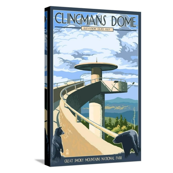 Art.com Clingmans Dome - Great Smoky Mountains National Park, TN Stretched Canvas Print Wall Art by Lantern Press, 12" x 18"