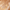 Tan, variant on Laura Geller New York Baked Balance-N-Brighten Foundation, Color Correcting Light, 0.32 oz