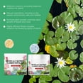 thumbnail image 4 of Aquatic Plant Fertilizer for Lotus Plants, Water Lily Fertilizer, Aquarium Plant Fertilizer, Effective Growth Lotus Foods, Lotus Nutrients for Bowl Lotus, Water Lily, Lotus, 4 of 8