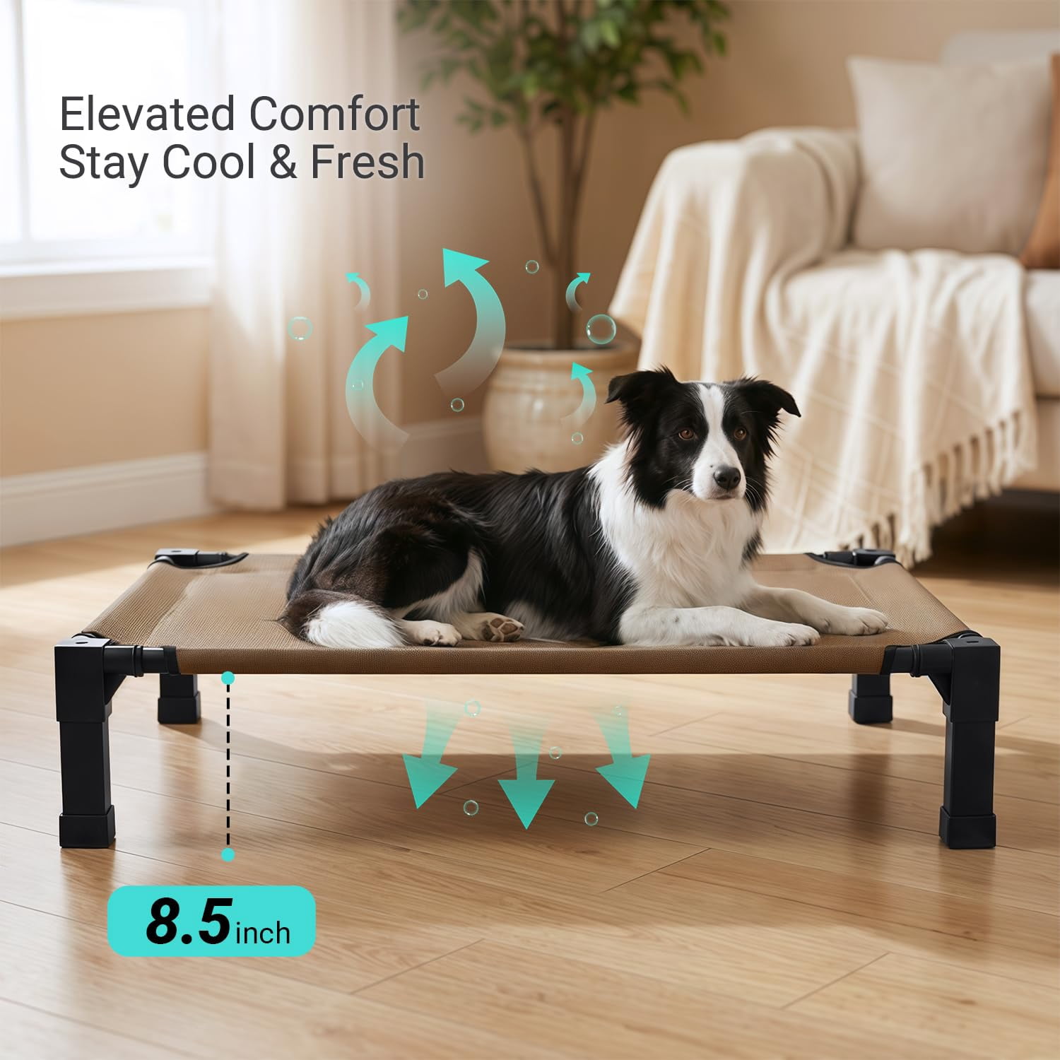 Elevated Outdoor Dog Bed  Pet Steel-framed And Non-slip Feet Raised With Waterproof Washable Breathable Teslin Mesh 42in