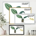 thumbnail image 4 of Designart 'Ancient Plant Life VI' Traditional Framed Canvas Wall Art Print, 4 of 5