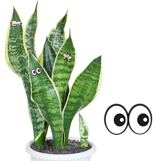 Magnets Eyes For Potted Cute Indoor Accessories Funny Magnets Decor Magnets Eyes For Lovers Friends