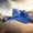 Blue, variant on 2.4G Remote Control Glider Airplane, Upgraded RC Aircraft with LED Light, Stunt Flying Drone, Supports multiple flight tricks, stable flight performance for outdoor entertainment and flying fun