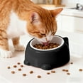 thumbnail image 6 of OAVQHLG3B Plastic Raised Cats Bowls, 15 Degrees Elevated Cat Bowls, Cat Food Bowl Pet Bowl Stand, Pet Bowls for Cats and Small Dogs, 6 of 6