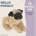 thumbnail image 3 of Bearington Pugsly Pug Plush Stuffed Animal Puppy Dog 13", 3 of 7