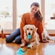 thumbnail image 1 of Juguete interactivo para perros, conjunto de rompecabezas para estimulación mental, dispensador de golosinas para perros pequeños y medianos, 1 of 3