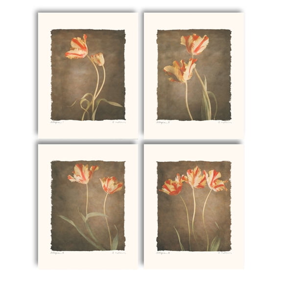 Allegria I Lovely, Vintage Tiger Lily Set; Floral Decor; Four 11X14 Poster Prints