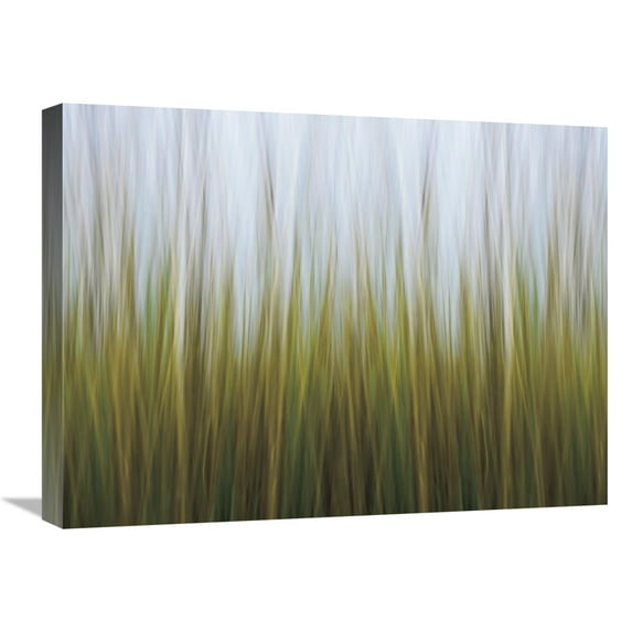 Global Gallery's 'Sea Grass Canvas' By Katherine Gendreau Stretched Canvas Wall Art