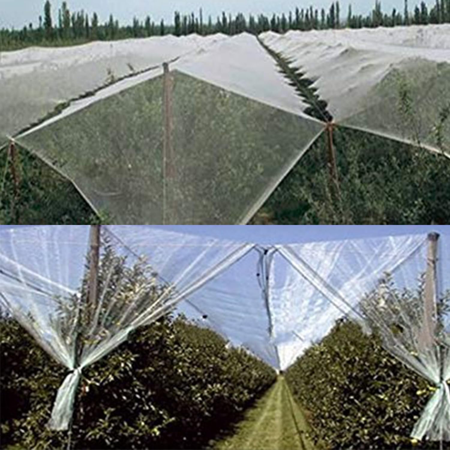 Bird Netting,Bug Net,Garden Netting Mesh,Garden Insect Netting,Protects Garden Plants and Fruit Trees from Birds, Bugs, and Butterflies, Insect Garden Netting, Butterfly Netting(9.84 * 16.40 Ft)