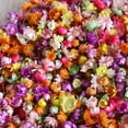 thumbnail image 3 of 710/1420PCS Dried Flowers Set Art Craft Epoxy Resin Candle Making Jewelry Glass USA, 3 of 11