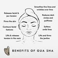 thumbnail image 4 of Mount Lai Stainless Steel Gua Sha Facial Tool – The Element of Refinement – Professional Grade Steel Face Sculpting Tool for Lymphatic Drainage, Puffiness Reduction & Refined Results, 4 of 5