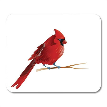 LADDKE Red Bird of Cardinal Animation Bright Cardinalis Cartoon Mousepad Mouse Pad Mouse Mat 9x10
