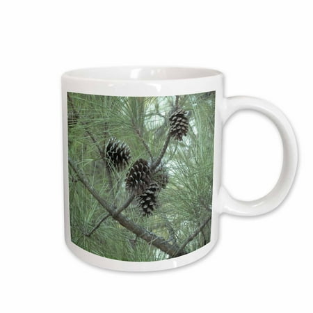 

3dRose pine cones - Ceramic Mug 15oz (mug_23812_2)