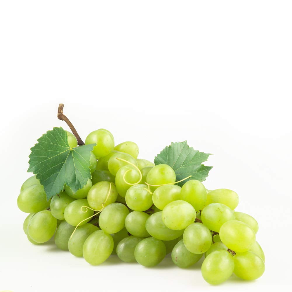 Everydaze Essential C’s Konjac Jelly, Green Grape, Box of 10 Packs