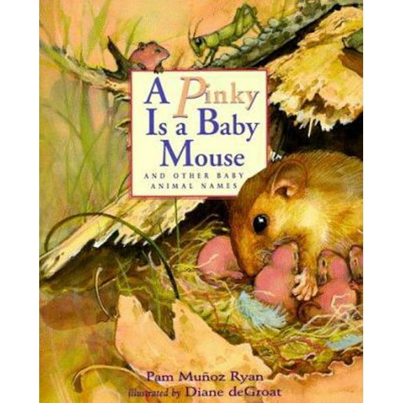 Pre-Owned A Pinky is a Baby Mouse: And Other Baby Animal Names (Paperback) 0786811447 9780786811441