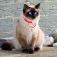 thumbnail image 4 of IFANLANDOR Dog Accessories Stylish Adjustable Cat Necklace Collar With Heart Charm 1Set, 4 of 8