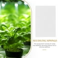 thumbnail image 3 of TEHAUX  Growing Seedling Sponge Hydroponic Cultivation Planting Tray, 3 of 8