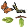 thumbnail image 3 of Crecimiento de Mariposa Natural perfecl Juguetes de Aprendizaje para Niños Accesorios de Enseñanza, 3 of 6
