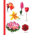 thumbnail image 4 of Mon Premier Livre de Fleurs: Books pour Enfants, 4 of 4