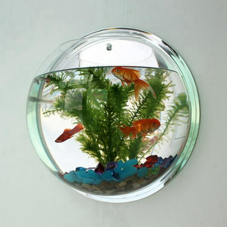 Creative Wall Hanging Acrylic Fish Bowl Home Decoration Aquariums Flowerpot Decor Flower