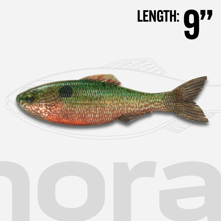 6th Sense Panorama 9.0 Soft Swimbait Bass Fishing Lure Oversized