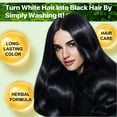 thumbnail image 3 of Yecuce Hair Dye Shampoo with Natural Plant, Moisturizing, 500ml, Black, 3 of 8