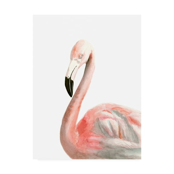 Trademark Fine Art 'Watercolor Flamingo' Canvas Art by Naomi McCavitt
