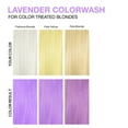 thumbnail image 5 of Pastel Lavender Colorwash, 5 of 7