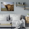 thumbnail image 3 of Stupell Industries Traditional Cow in Pasture Animal Landscape Photo Canvas Art, 48 x 36, by Villager Jim, 3 of 7