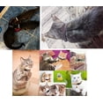 thumbnail image 3 of (12 colores) Collar reflectante para gatos, collar antiahogo para gatitos con cascabel, collar ajustable para gatos, accesorio para gatos y mascotas, 3 of 5